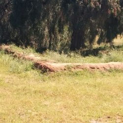 Misión de Nuestra Señora de Guadalupe del Norte - Ruins