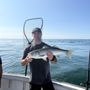 Photo of Shark Shark Tuna Fishing Charters