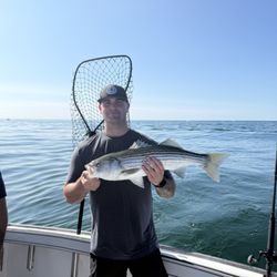 Shark Shark Tuna Fishing Charters
