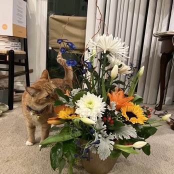 Suzann's Flowers - Florists Near Me - Upland, California Suzann's Flowers - Florists Near Me - Upland, California