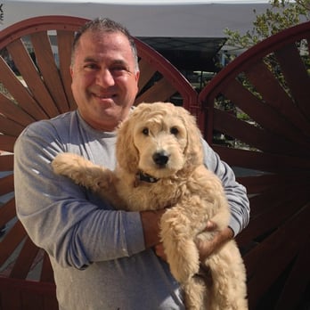 LA Custom Tile - Dogs are a good judge of character, and Merlin loved Mark! - General Contractors Near Me - Los Angeles, California LA Custom Tile - Dogs are a good judge of character, and Merlin loved Mark! - General Contractors Near Me - Los Angeles, California