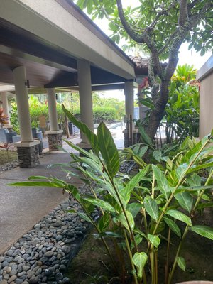 Spa Montage Kapalua Bay by null