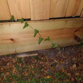 Quick fix - After - Handyman Near Me Quick fix - After - Handyman Near Me