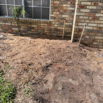 CT Stump Grinders - Tree Services Near Me CT Stump Grinders - Tree Services Near Me