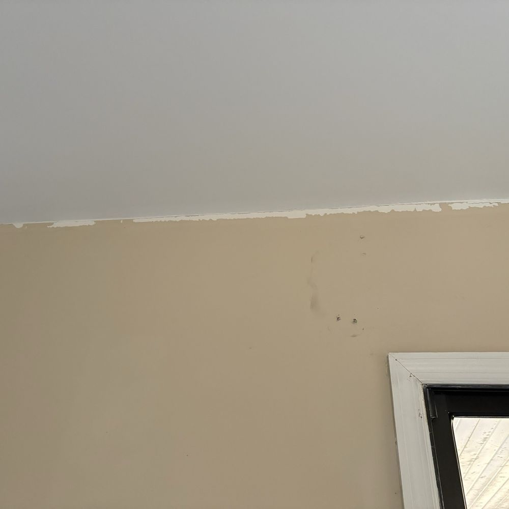 Frank Drywall - Paint peeled away from wall - Drywall Installation & Repair Near Me
