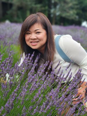 Wayward Winds Lavender Farm by null