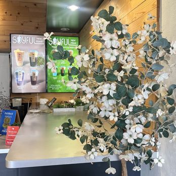 Soyful Desserts - Desserts Near Me - San Jose, California