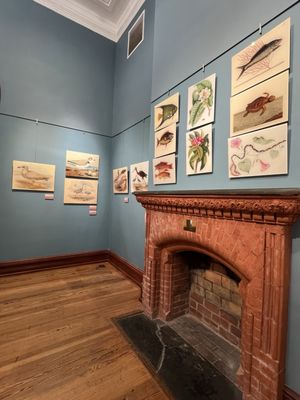 Key West Museum of Art & History at the Custom House by null