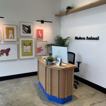 Modern Animal Costa Mesa - Front desk - Veterinarians Near Me - Costa Mesa, California Modern Animal Costa Mesa - Front desk - Veterinarians Near Me - Costa Mesa, California