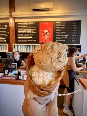 Molly Moon's Homemade Ice Cream Capitol Hill by null