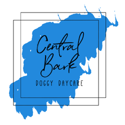 Central Bark Doggy Daycare