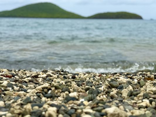 Tamarindo Beach by null