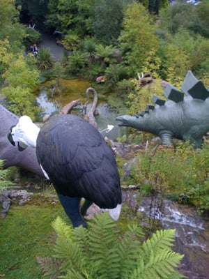 National Showcaves Centre for Wales by null