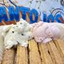 Photo of Antojos