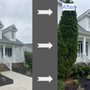 Photo of Davies Pressure Washing