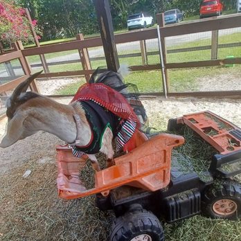Davie Ranch - Party all night... - Venues & Event Spaces Near Me - Davie, Florida Davie Ranch - Party all night... - Venues & Event Spaces Near Me - Davie, Florida