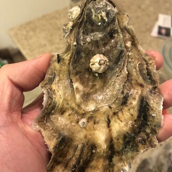 Deep Catch Seafood - Oyster - Seafood Markets Near Me - South San Francisco, California Deep Catch Seafood - Oyster - Seafood Markets Near Me - South San Francisco, California