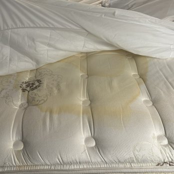 Courtyard by Marriott Rock Hill - Our lovely mattress - Hotels Near Me - Rock Hill, South Carolina Courtyard by Marriott Rock Hill - Our lovely mattress - Hotels Near Me - Rock Hill, South Carolina