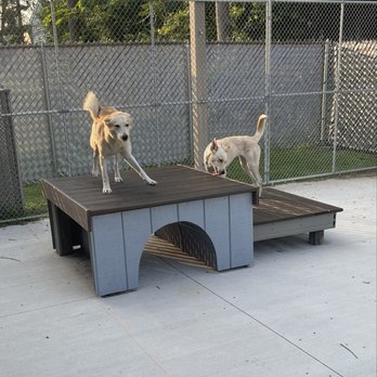 TOPDOG PET CARE - Outdoor playtime - Pet Groomers Near Me - Jackson, Michigan TOPDOG PET CARE - Outdoor playtime - Pet Groomers Near Me - Jackson, Michigan