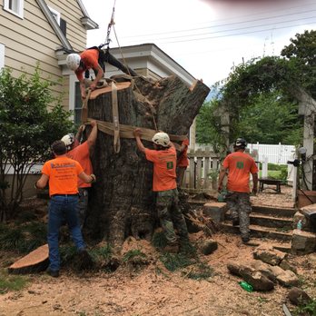 Southeastern Tree Service - Tree Services Near Me - Greenville, South Carolina Southeastern Tree Service - Tree Services Near Me - Greenville, South Carolina