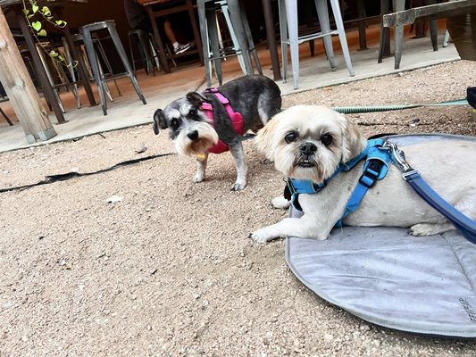 Burleson Yard Beer Garden by null