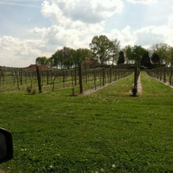 Paris Winery