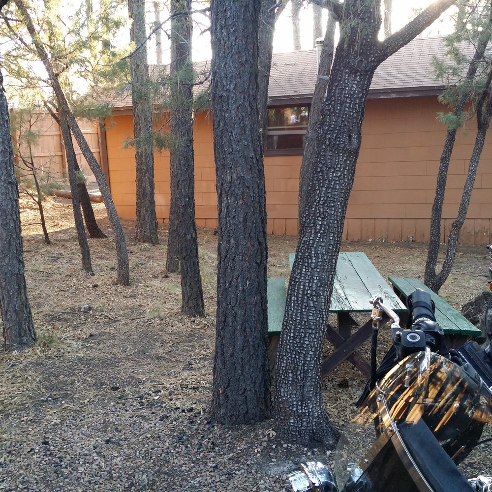 Hidden Rest Resort - The view out our front door - Resorts Near Me - Lakeside, Arizona