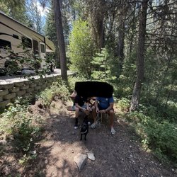 Mountain Meadow RV Park & Campground - Pic of RV Spot #52.