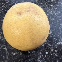 Garcia Ranch - Grapefruit