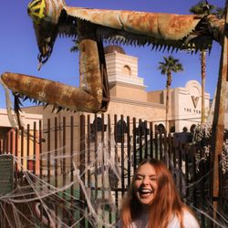 DTLV Art Walk
