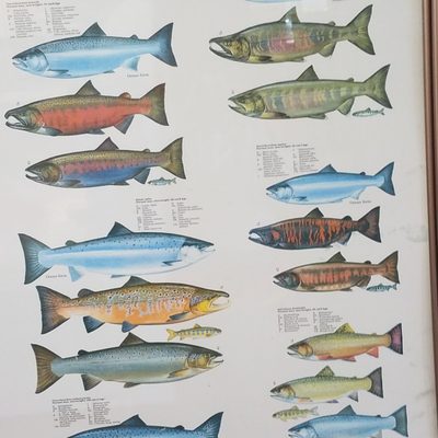 Menu photo 1 City Fish Market Wethersfield, CT Menu photo 1 City Fish Market Wethersfield, CT
