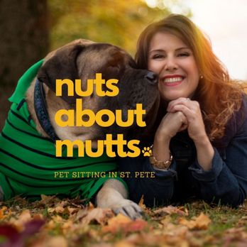 Nuts About Mutts - Pet Boarding Near Me - St. Petersburg, Florida Nuts About Mutts - Pet Boarding Near Me - St. Petersburg, Florida