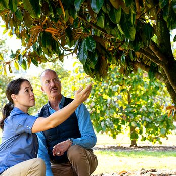 Bartlett Tree Experts - Summerland - Tree Services Near Me - Summerland, British Columbia
