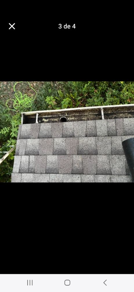 Slide of Macaw Roofing