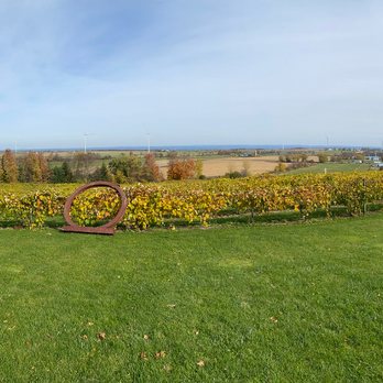 Tug Hill Vineyards - Wineries Near Me - Lowville, New York