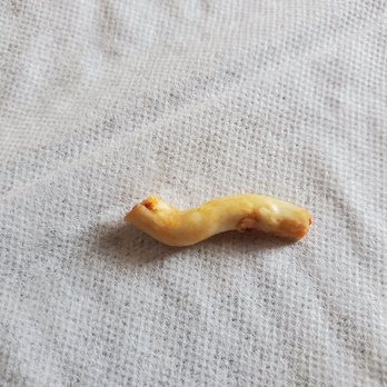 Katsu Ramen - Rubber piece in my Ramen, which was the Tan Tan. This is NOT chicken, this is rubber! - Ramen Near Me - Aurora, Colorado Katsu Ramen - Rubber piece in my Ramen, which was the Tan Tan. This is NOT chicken, this is rubber! - Ramen Near Me - Aurora, Colorado