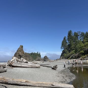 Olympic National Park - Parks Near Me - Port Angeles, Washington