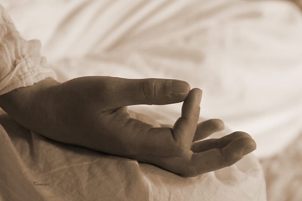 Alchimia Yoga