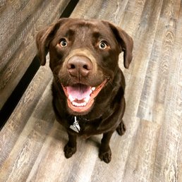 My sweet boy in the indoor play room during a rainy day at daycare.