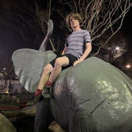 Back of elephant Back of elephant