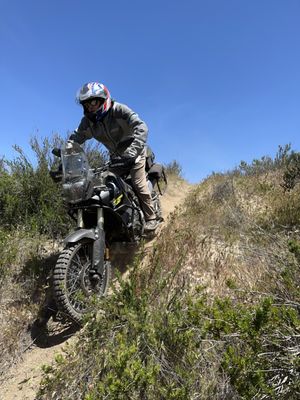 SADDLEBACK RIDER TRAINING - Updated February 2026 - 103 Photos & 292