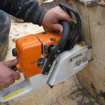 Dallas Arbor Care - Tree Services Near Me - Dallas, Texas Dallas Arbor Care - Tree Services Near Me - Dallas, Texas