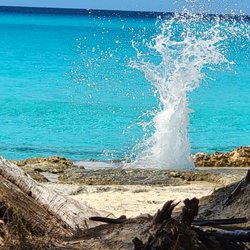 Belle Vie Travel - Bimini in the Bahamas - Beautiful Blue Water