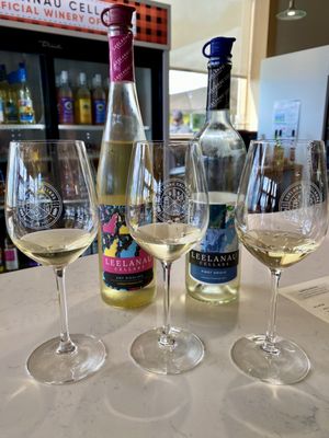 Leelanau Wine Cellars Tasting Room by null