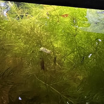 Wet Spot Tropical Fish - Aquarium Services Near Me - Portland, Oregon