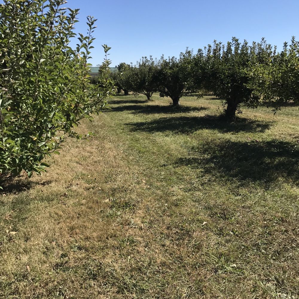 Pick n' Save Orchard - Pick Your Own Farms Near Me - Medina, Ohio Pick n' Save Orchard - Pick Your Own Farms Near Me - Medina, Ohio