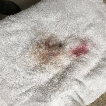 Comfort Suites - Towels and wash cloths with makeup on them upon checkin. Gross. - Hotels Near Me - Elgin, Illinois