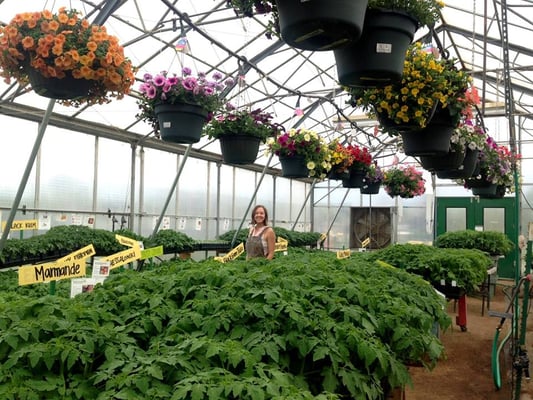 Growing Gardens by null