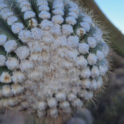 Sweetwater Preserve