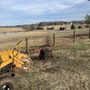 Photo of Epic Stump Removal